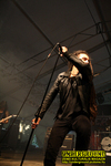 Gallery image 9