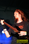 Gallery image 10