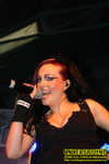 Gallery image 11