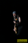 Gallery image 25