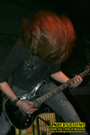 Gallery image 12