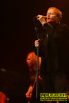 Gallery image 15