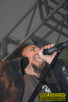 Gallery image 20