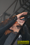 Gallery image 21