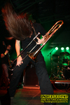 Gallery image 24