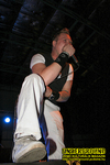 Gallery image 23