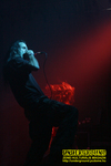 Gallery image 33