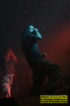 Gallery image 34