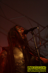 Gallery image 35
