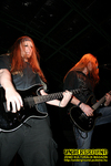 Gallery image 35