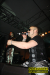Gallery image 29