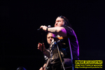 Gallery image 41