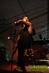 Gallery image 51