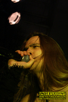 Gallery image 50