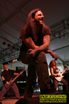 Gallery image 50
