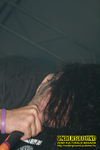 Gallery image 51