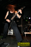 Gallery image 50