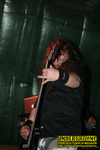 Gallery image 50