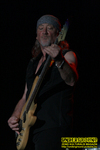 Gallery image 50