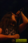 Gallery image 59