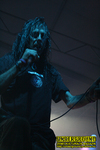 Gallery image 55