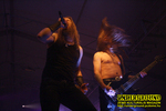 Gallery image 59