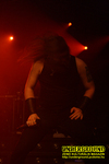 Gallery image 63