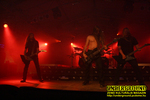 Gallery image 68