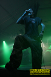 Gallery image 75