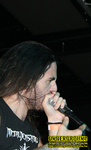 Gallery image 12