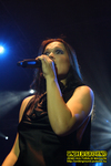 Gallery image 23