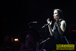 Gallery image 43