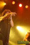 Gallery image 25