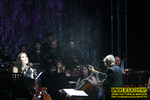 Gallery image 10
