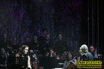 Gallery image 12