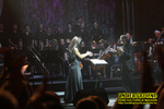 Gallery image 13