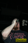 Gallery image 25