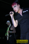 Gallery image 30