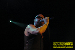 Gallery image 30