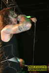 Gallery image 37