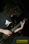 Gallery image 35