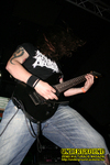 Gallery image 39