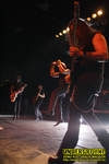 Gallery image 50
