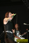 Gallery image 53