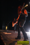 Gallery image 51