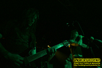 Gallery image 56