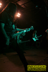 Gallery image 58
