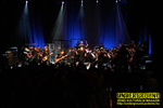 Gallery image 57