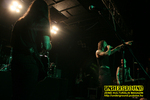 Gallery image 63