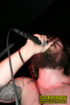 Gallery image 8